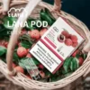LANA 一代通用煙彈 3顆超值裝 主打升級陶瓷芯純淨口感與吸氣即亮炫彩特效 結合2.5ml大容量設計